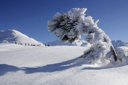 paisajes-nevados-suiza.jpg
