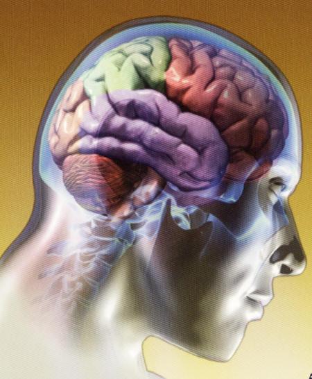 cerebro.jpg
